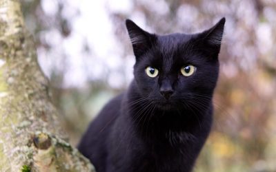 Day-6 The Rock of Self-Righteousness