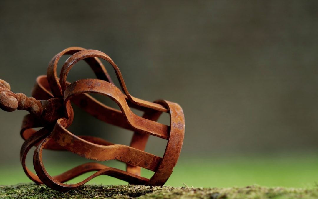 Day-10 Your Trust That Will Not Rust