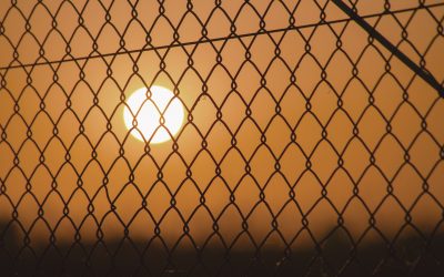 Day-28 Setting The Captives Free