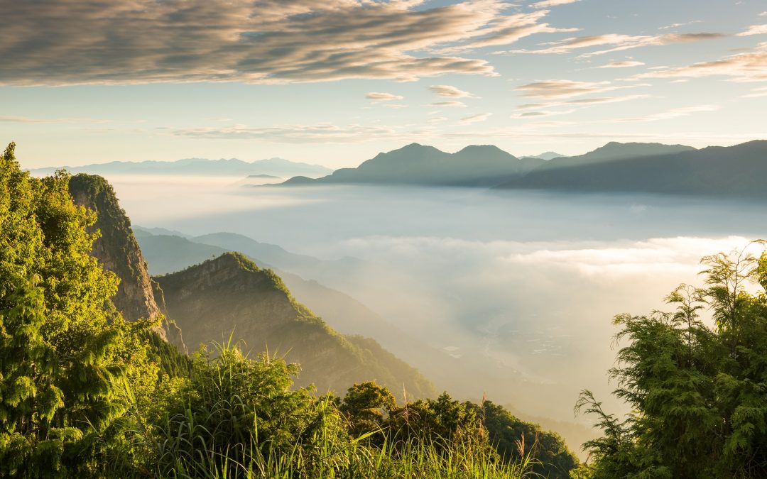 Day-9 Name Above all Names