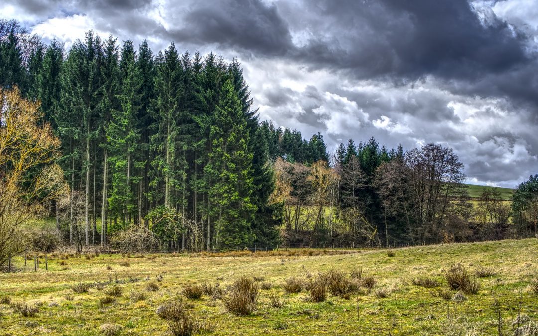 A Rain Cloud of Scriptures for You