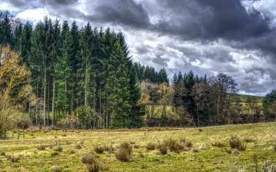 A Rain Cloud of Scriptures for You