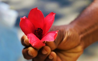 Draw Near. Take It. I Love You!