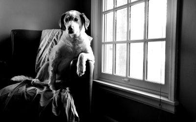 Your Obedience Leads to Miracles