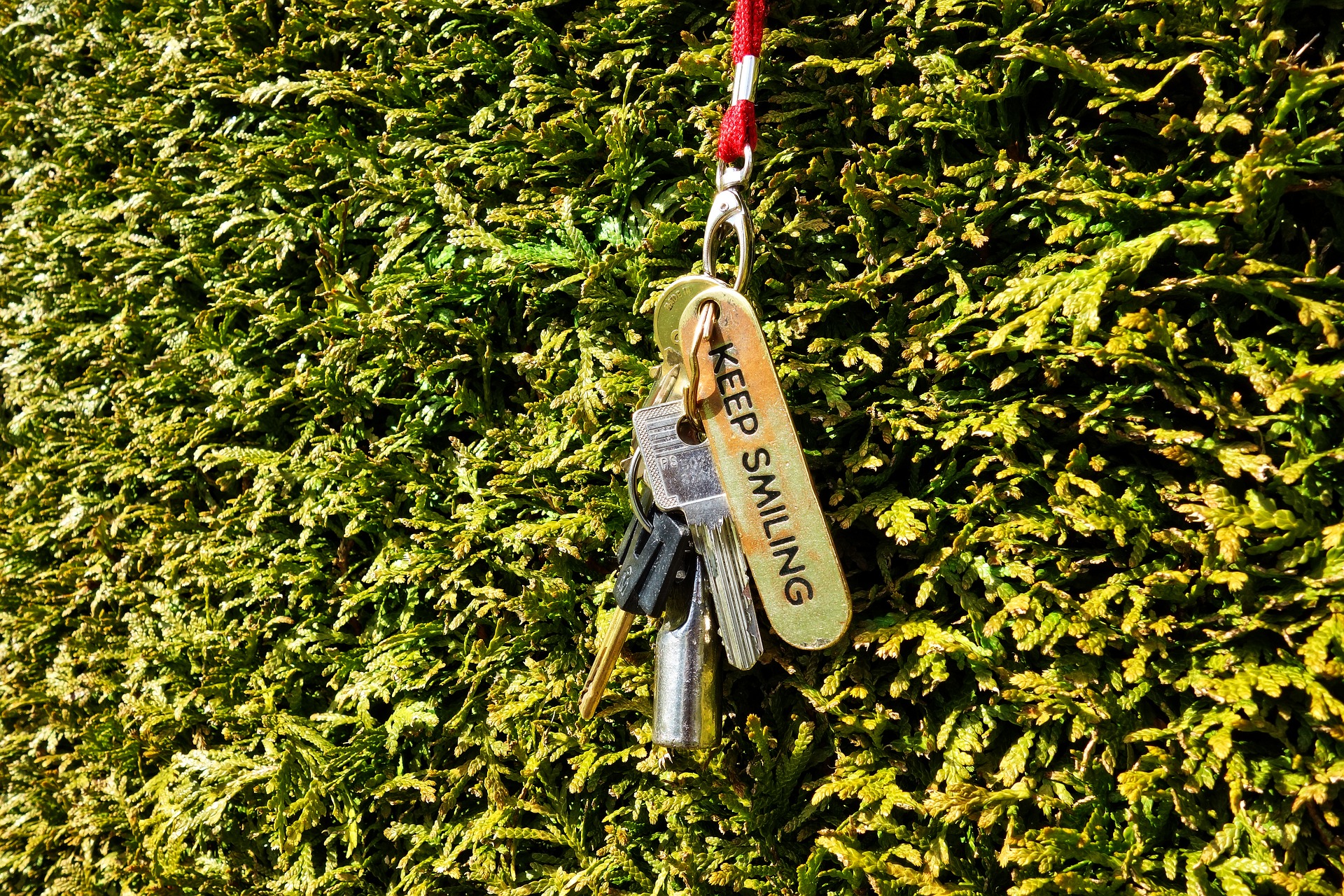That Key Do You Know Where Your Keys Are? - Kathleen Dillard