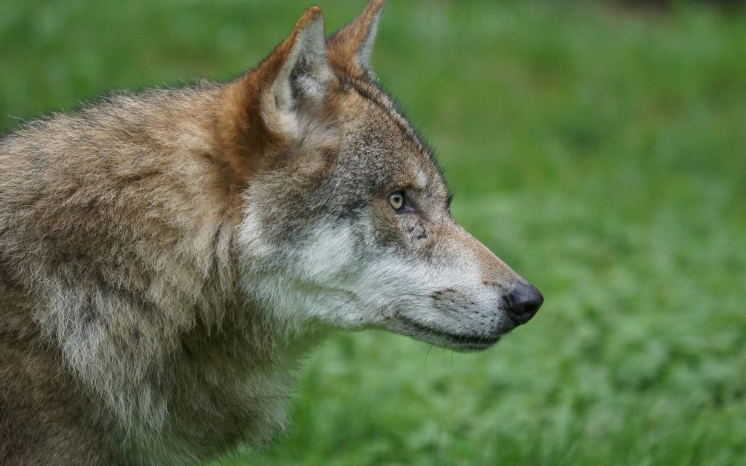 You Paying Attention