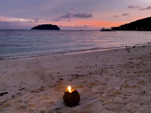 coconut light on beach