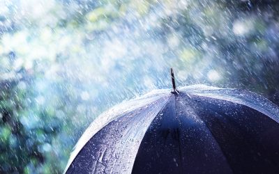 Your Prayers Release Protection