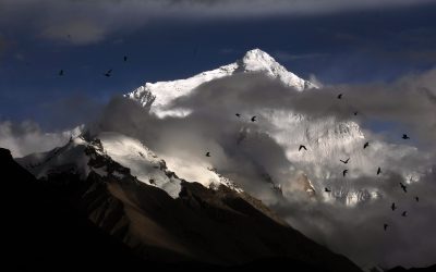 Day 24 — Whatever You Do!