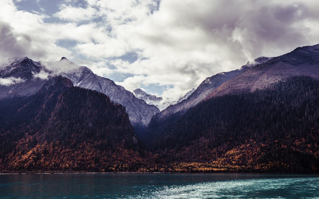 Day 28 — May Worry Leave You