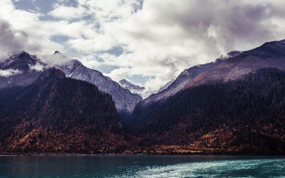 Day 28 — May Worry Leave You