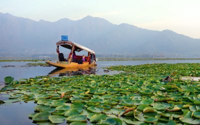 Day 30 — Your Walk