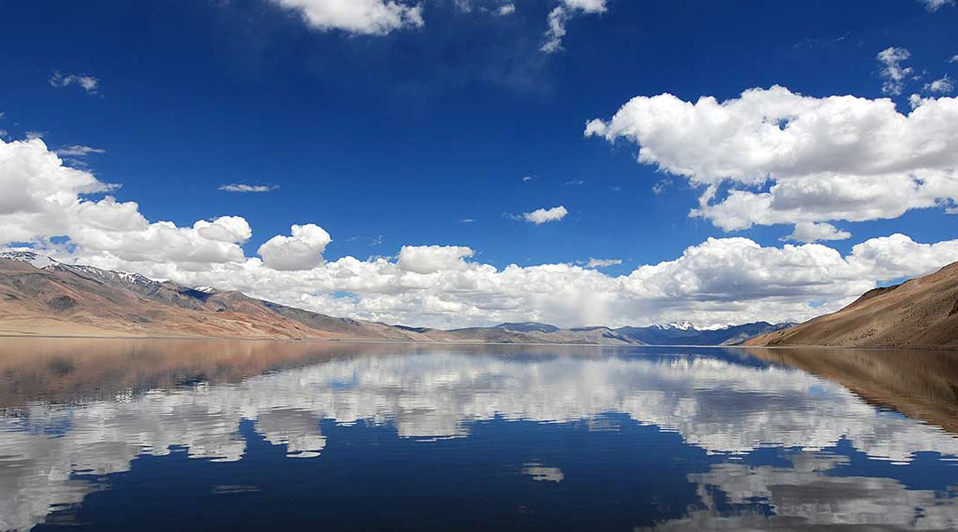 Day  8 — Report Card:  Where Are You at in God’s Word?