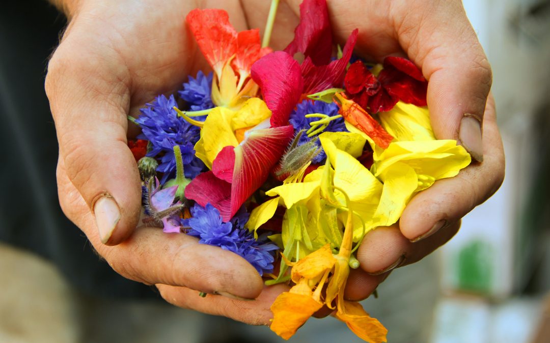 You Activating Good Deeds for Heaven’s Sake