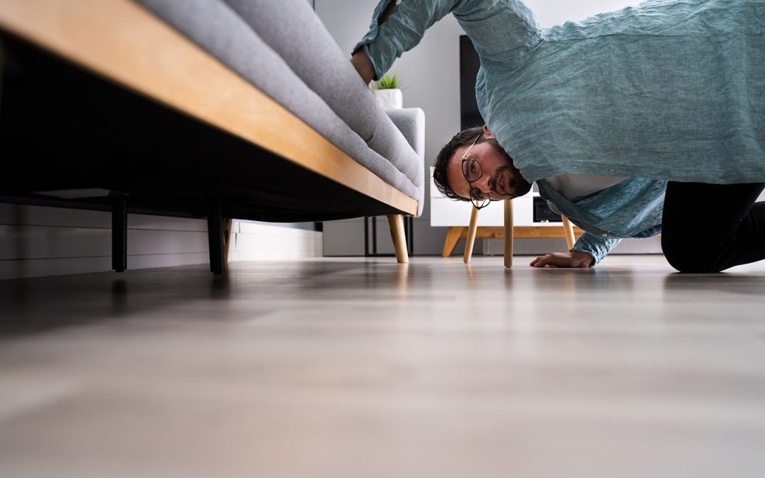 Where Did You Put It?