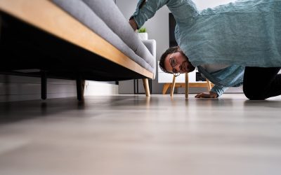 Where Did You Put It?