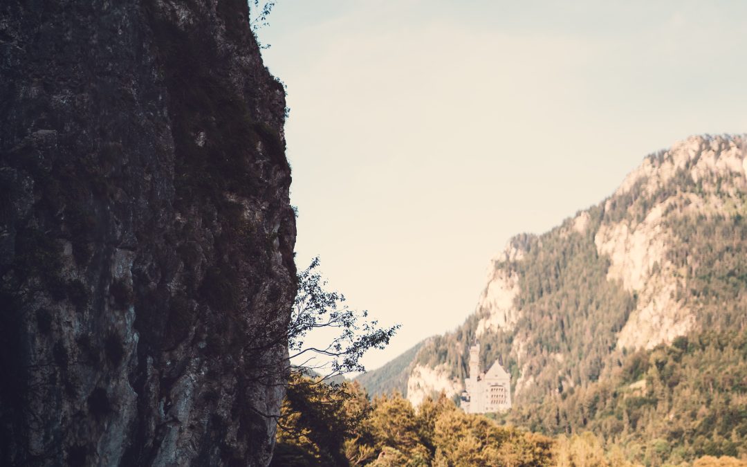 Day 23 – Let Him Do It