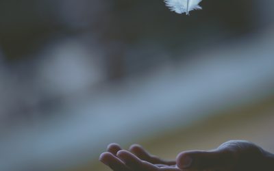 Day 29 – Let the Peace of Christ Rule in Your Hearts