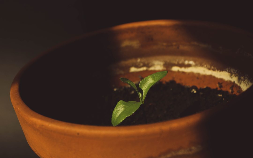 Day 26 – New Things, Why the Wait? (Part 1)