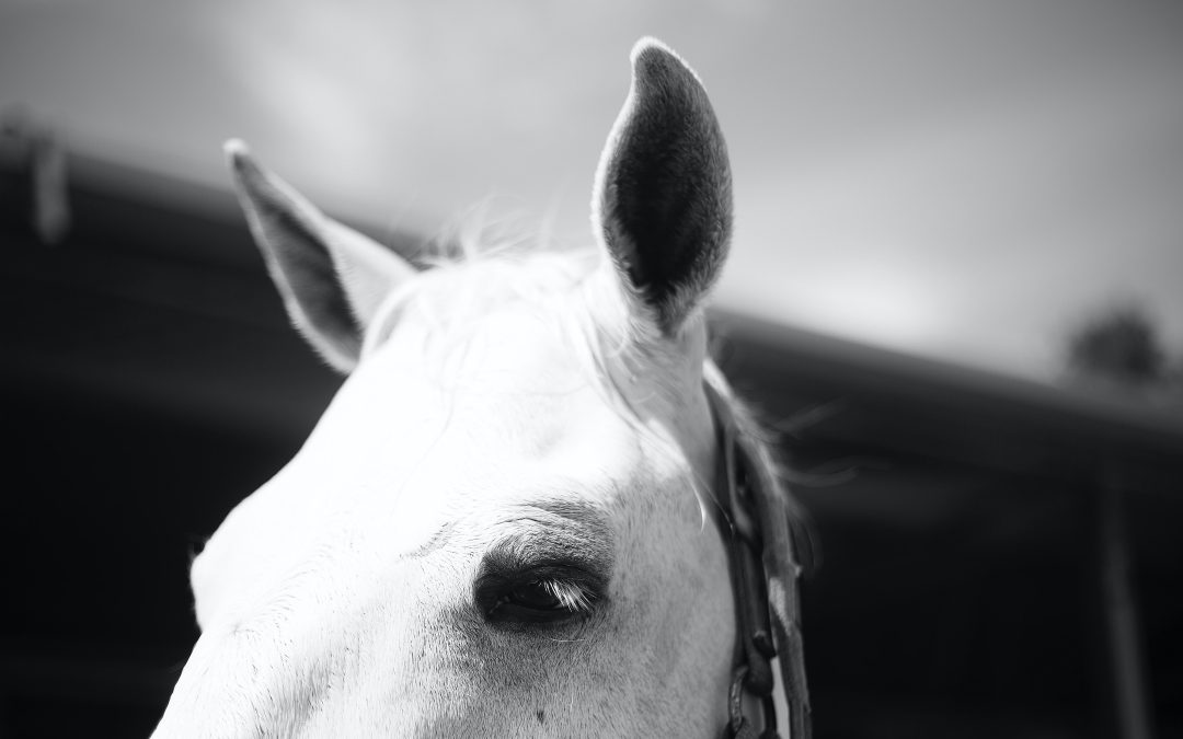 Day 15 – Take Time To Listen