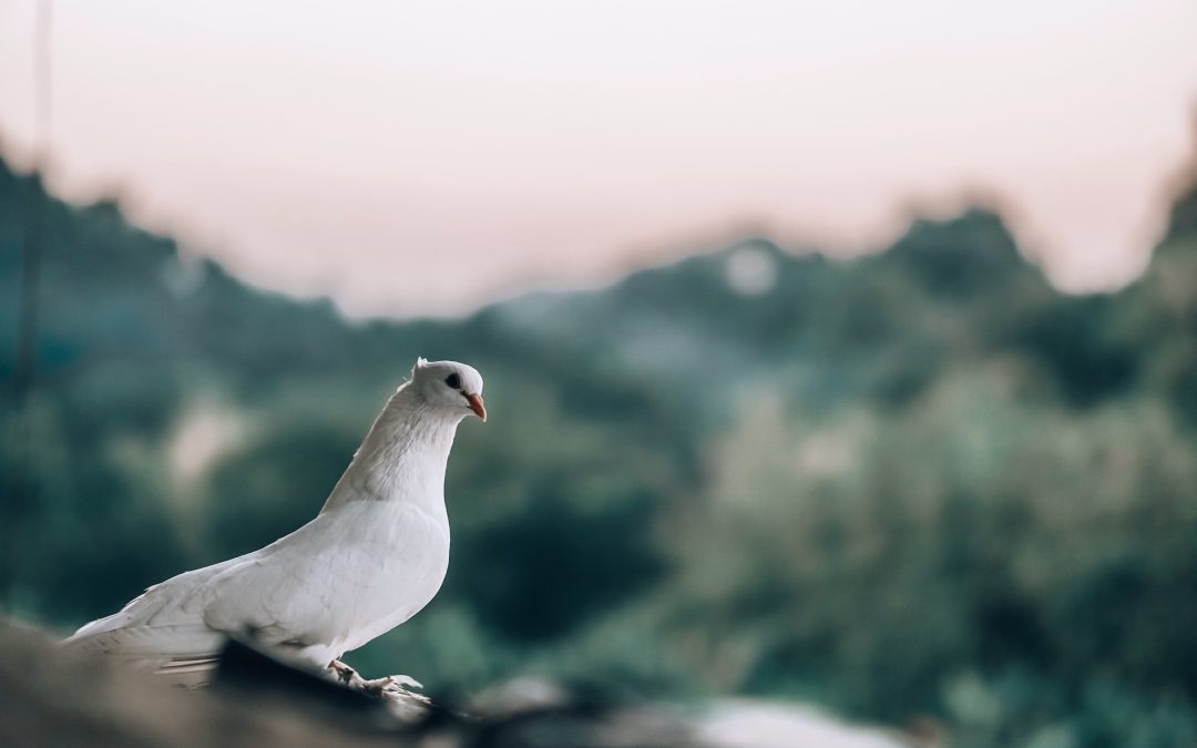 Day 3 – Get Busy and Bless Someone!