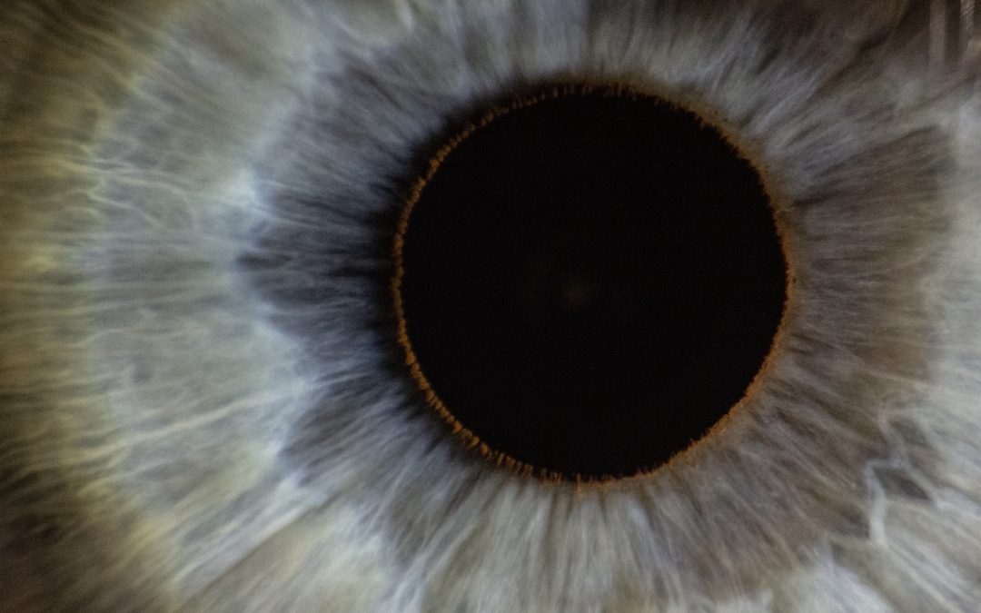 Day 11 – His Eye is on You