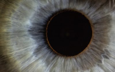 Day 11 – His Eye is on You