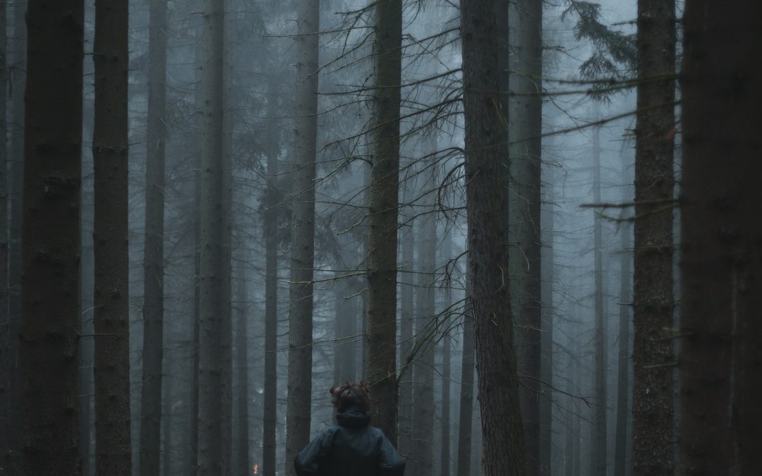 Day 15 – Escapes from Death