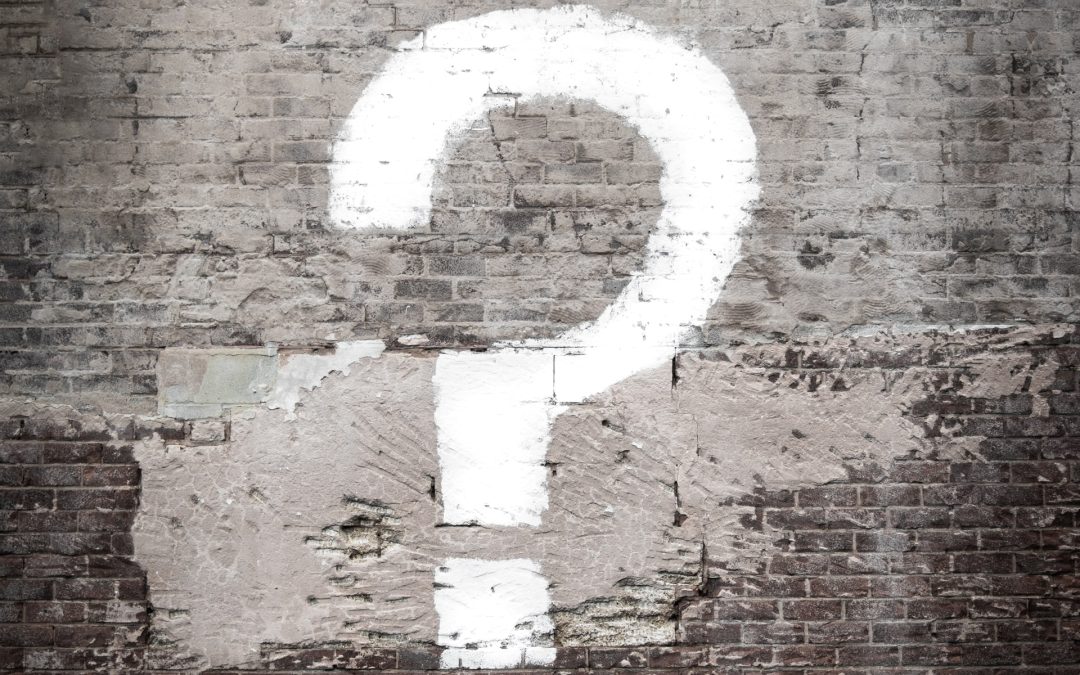 Day 13 – Ask and See!