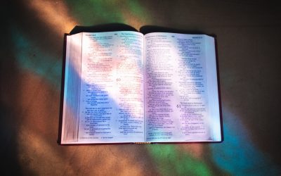 Day 23 – You, and Personal Prophecy