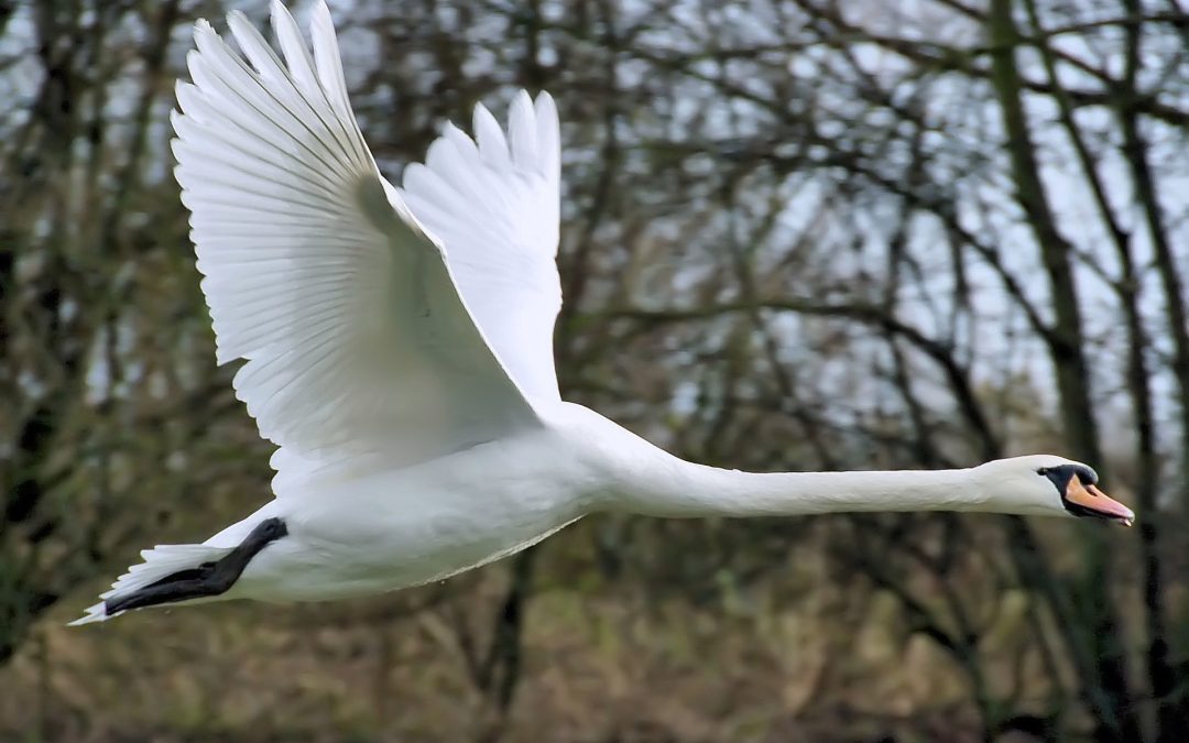 Day 25 – Let God Stretch You