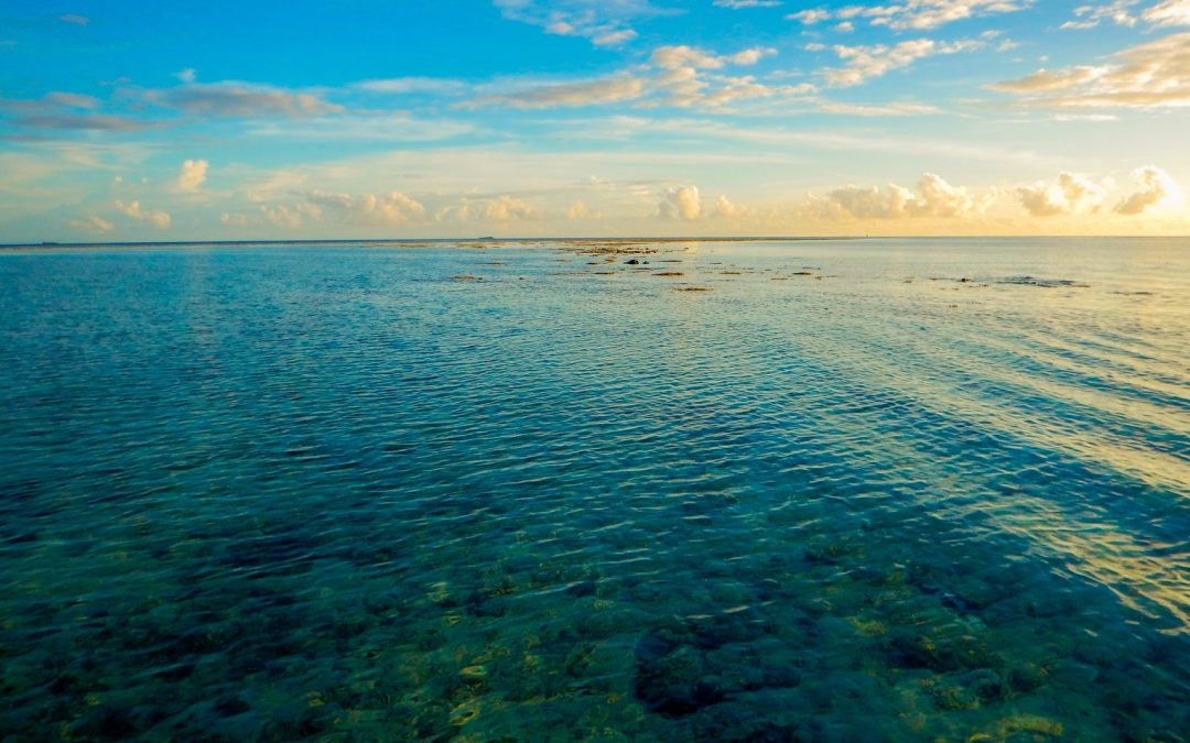 Day 20 – His Love Has No Limits