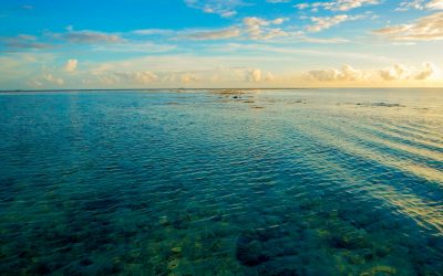 Day 20 – His Love Has No Limits