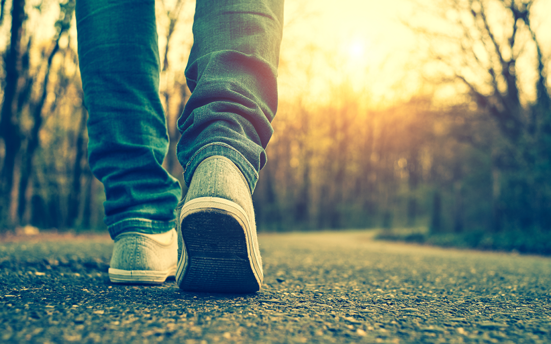 Trust and He Will Direct You