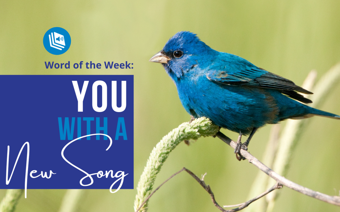 YOU, with a New Song