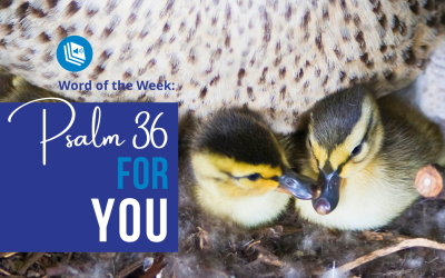 Psalm 36 for You!